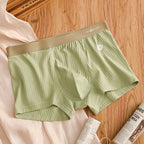 4PCS/Lot Boxer Shorts Mens Panties Cotton Men's Underwear Breathable Man U Convex Lingerie Comfortable Striped Men Boxers