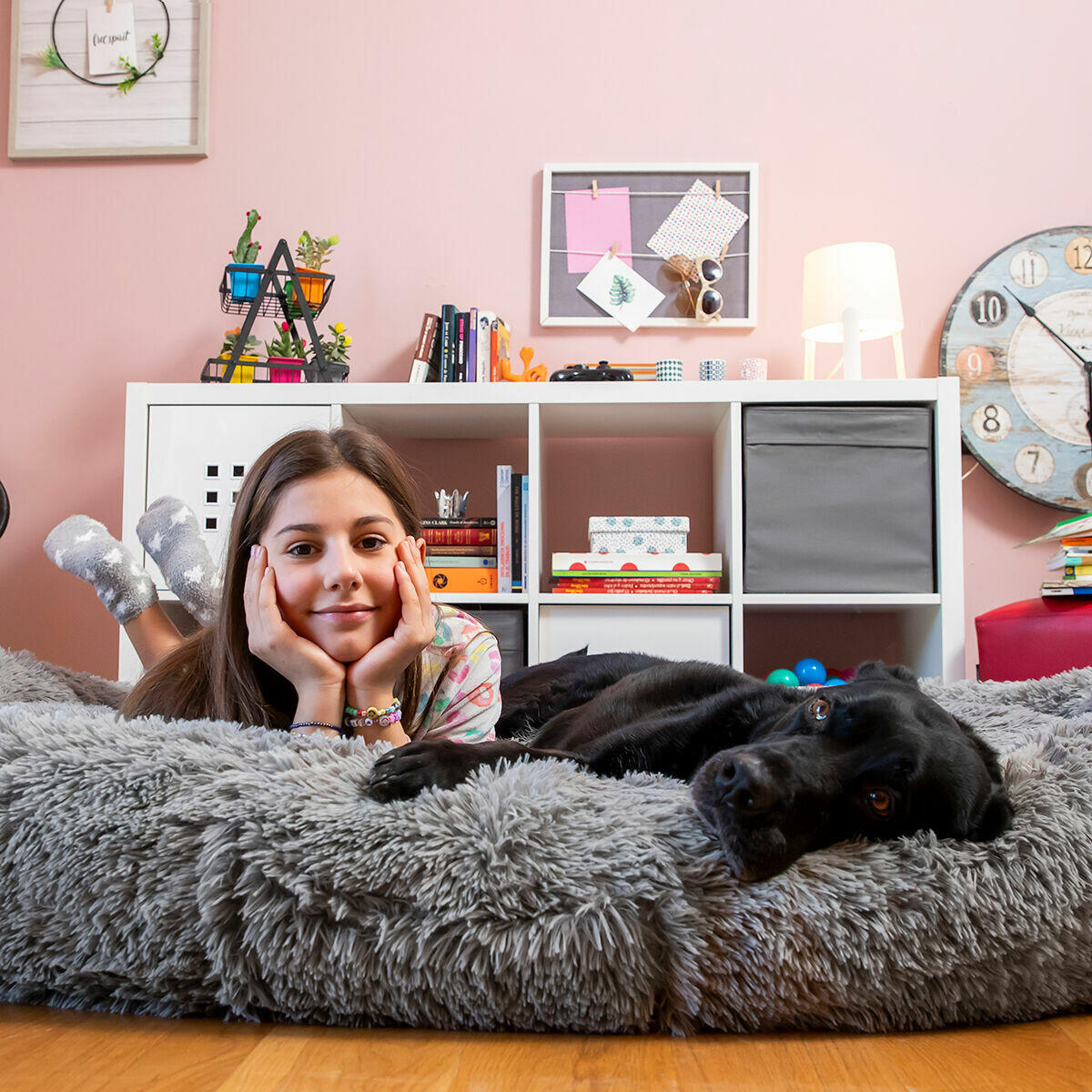 Cama para Cães Humanos | Cama para Cães Humanos XXL InnovaGoods Cinza