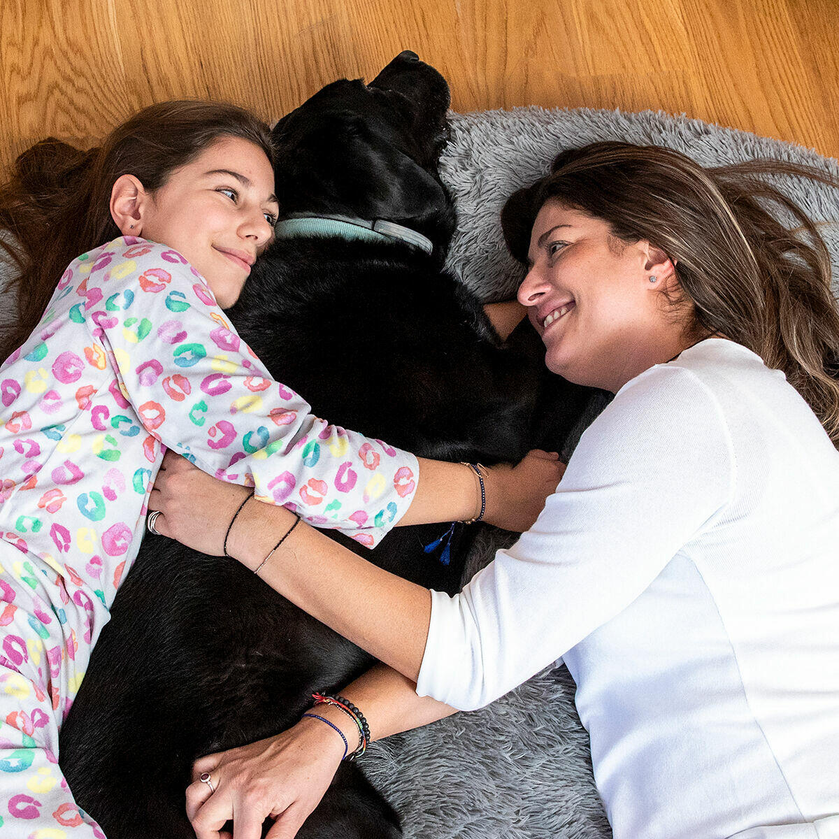 Cama para Cães Humanos | Cama para Cães Humanos XXL InnovaGoods Cinza