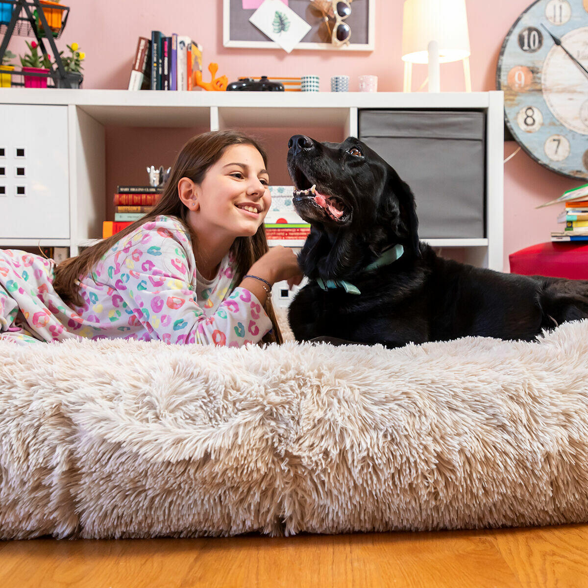 Cama para Cães Humanos | Cama para Cães Humanos XXL InnovaGoods Bege